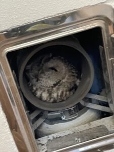 Foto 04.01.26, 10 54 04