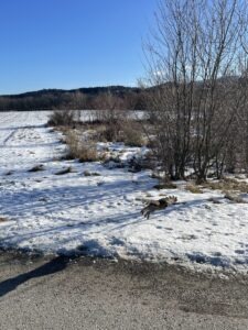 Foto 04.01.26, 10 55 40